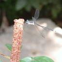 Tanya Enos - @Enos_T - Twitter