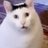 MCVarg98's profile image