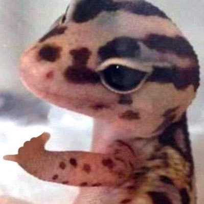 __die4u__'s profile picture. w