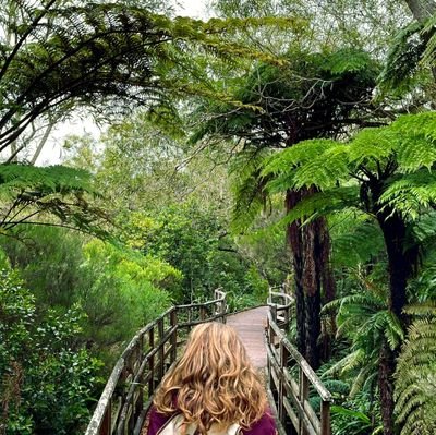 wheeconfetti's profile picture. Bringing confetti to gun fights.