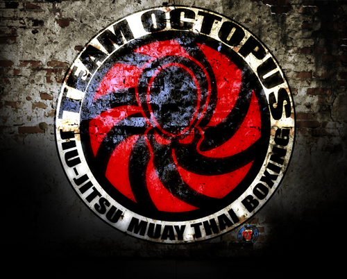 Team Octopus located in Atlanta GA is a premier mixed martial arts academy for training in Brazilian Jiu-Jitsu, Muay Thai, Boxing & MMA!