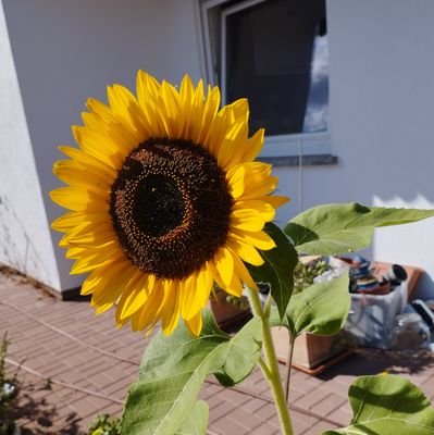 grayve33's profile picture. Moi
