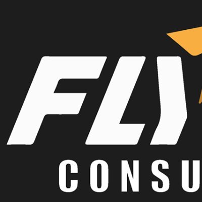FlyUp Consultants