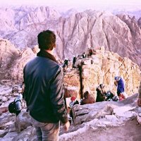 omar elsabagh (@omarelsabagh) 's Twitter Profile