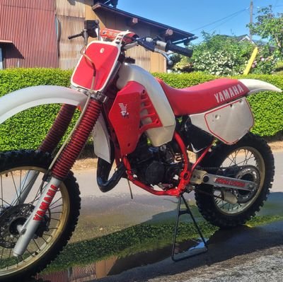 yz_iizo's profile picture. 