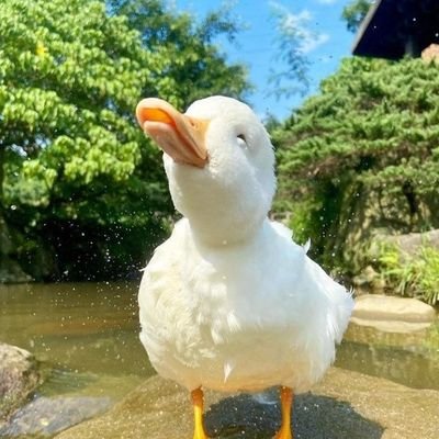 Fernand64917464's profile picture. 