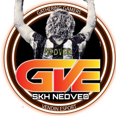 SKH Nedved co gm Vendin Esport Profile