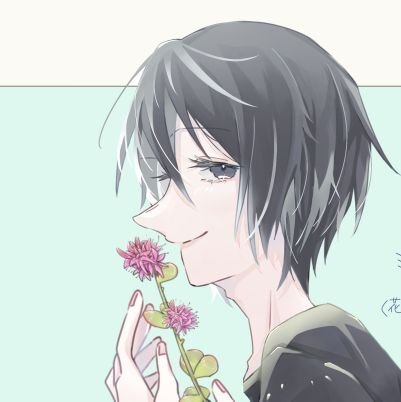 たこさんのプロフィール画像