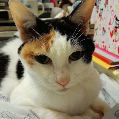 gRsqzXlHK7jLb3T's profile picture. 