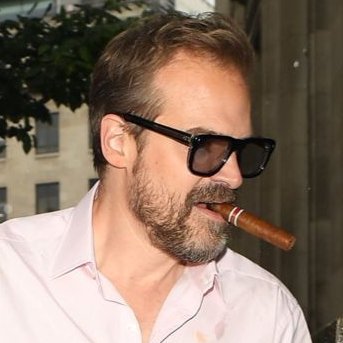 papiharbour's profile picture. id risk it all for david harbour