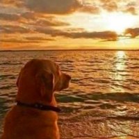 Allenway (@robertawayss) 's Twitter Profile