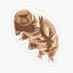 comrade tardigrade 🇵🇷🇮🇪 (@audi5000foeva) Twitter profile photo