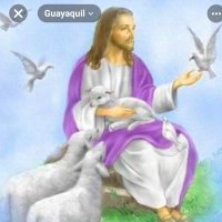 @maxistal (@maxistal) 's Twitter Profile
