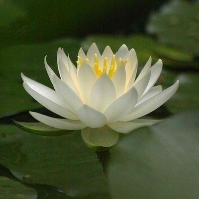 💞Ashok 🌹💞🌷 Bhardwaj💞さんのプロフィール画像