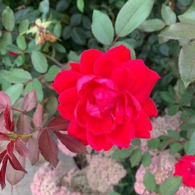 AftabKh68825242's profile picture. 