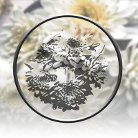 An Awful Mess (@anawfulmessband) Twitter profile photo