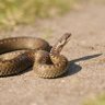 wouter_verbaan's profile picture. 