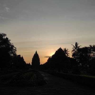 butooooooijo's profile picture. 