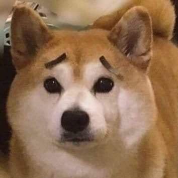 Dena256's profile picture. t(9;22)(q34;q11)

Pronoun: The Right Honourable Lord Mayor