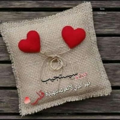 nosha2312's profile picture. 