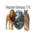 Hazme Famoso T.V. (@HazmeFamosoTV) Twitter profile photo