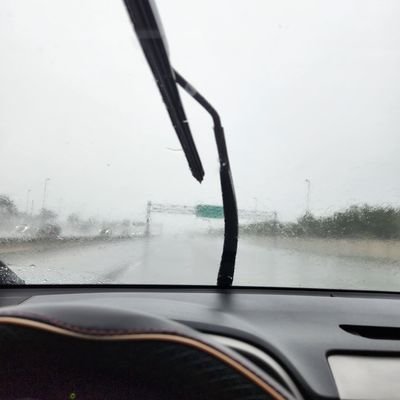 jjnicole991's profile picture. I don't understand sarcasm 🤷‍♂️