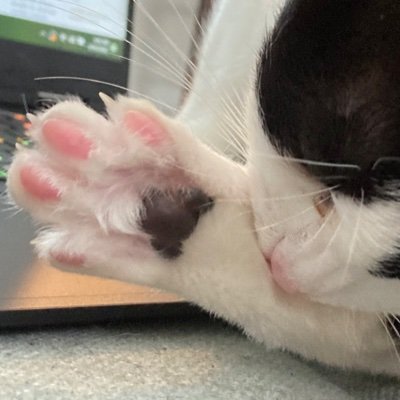 trigeminal_pain's profile picture. 27
💉oral health care professional
horrific chronic pain experiencer 🧠
i have a lil black n white cat
🏳️‍🌈💗💜💙
some type of queer