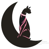 CATS EVENTOS (@catscatseventos) 's Twitter Profile Photo CATS EVENTOS (@catscatseventos) 's Twitter Profile Photo