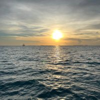 Sportsguy (@uk7649wc) 's Twitter Profile