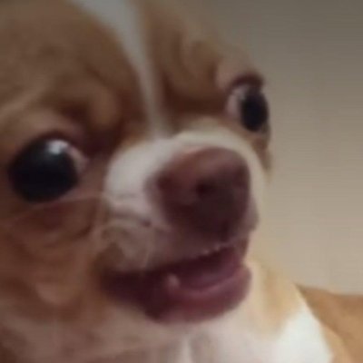 ddossochkaさんのプロフィール画像