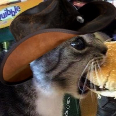 DJCOCOL101's profile picture. Content Creator, musician, filmmaker | Yes