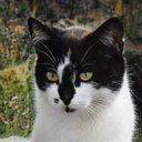 Carrie Shaw - @CarrieS07642515 - Twitter