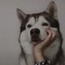 030 (@mtrai88) Twitter profile photo 030 (@mtrai88) Twitter profile photo