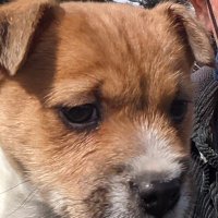 Mark Huggins (@eedc02601fa4461) 's Twitter Profile Photo Mark Huggins (@eedc02601fa4461) 's Twitter Profile Photo