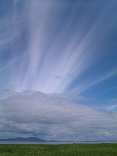 StepElliott's profile picture. 