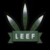 leefmaincorp