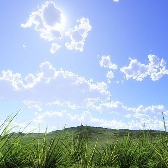 【進学校底辺の高3偏差値50が東北大理学部を目指す垢】
朝型|塾×|DM返せません | 中高生勉強垢さんフォロバ
努力を以て地頭いい人たちに勝つ!
もうとにかく、止まらずに走り切るしかない。
あと、勉強宣言しっぱなしにしない。必ず実行する。
