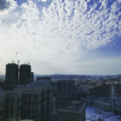 shrwwf's profile picture.