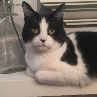 LoriOCo63604129's profile picture. 