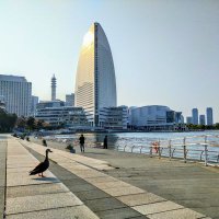 冨澤勇介@improveパーソナルトレーナー (@msoywvil987dq5p) Twitter profile photo