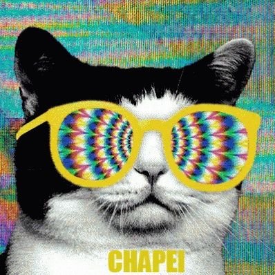 muita_lombra's profile picture. -Leonino 🦁🔥
meu caminho eu que vou escrever meu destino é ser gigante 🛸🍃
-26y 👽 
-solteiro - SP ✌🏽✨