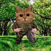 FAFO, eh? (@cjhc) 's Twitter Profile