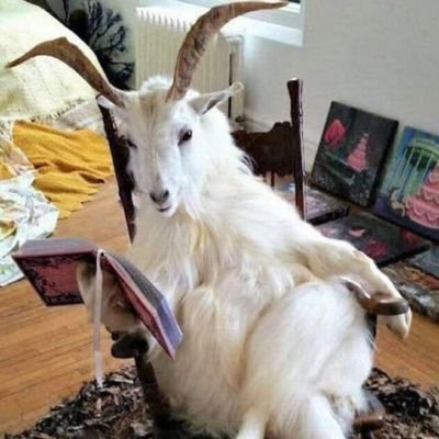 nkwenkwezi007's profile picture. 