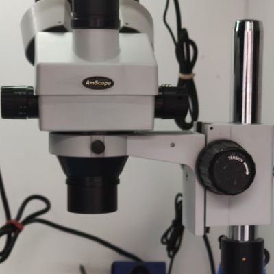 Labcenter6's profile picture. 