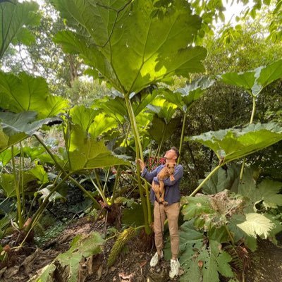 Gardener, Plantsman, Dog Dad, Cook and Poultry Keeper 🏳️‍🌈🌺🐕     Londoner in Somerset UK. He/Him