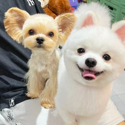 photogoers's profile picture. 