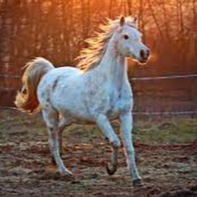 MontierRobyn's profile picture. 