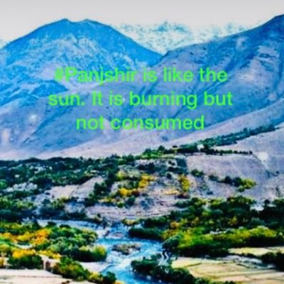 MZamarod's profile picture. 