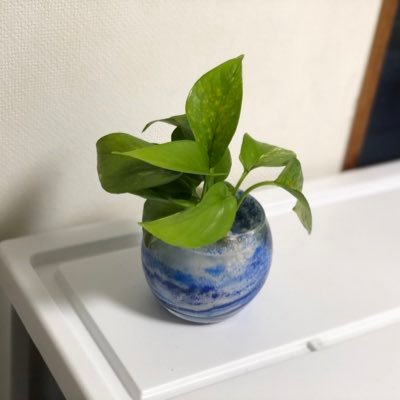 田舎会社員34歳/筋トレ、バスケ好き/オールカントリー積立中/2020.3月に電脳せどり開始/2022.7月Amazon最高月商700万円達成/リピスタ神さん元コンサル生