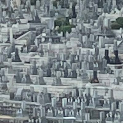 instability002's profile picture. 